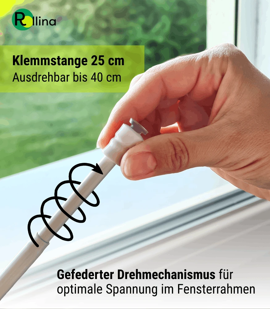 Produktfotografie Amazon Produktbilder Rollina